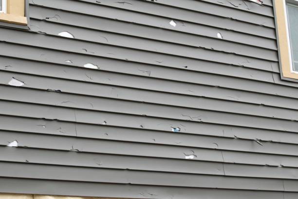 Affordable Siding Repair and Maintenance Services in Mill Bay, AK